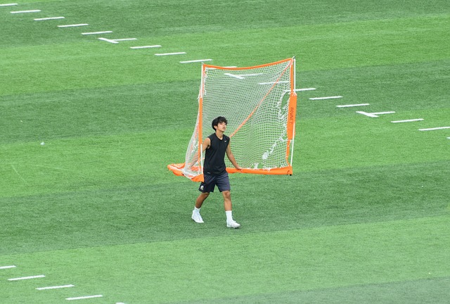 尼科