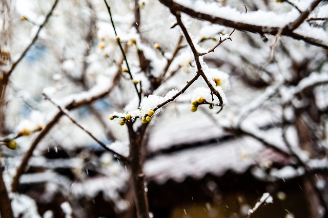 在这一节中