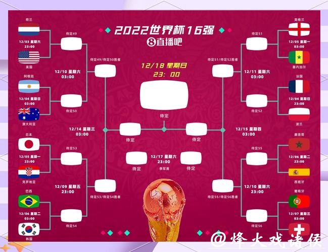 全面分析世界杯比赛数据的平台