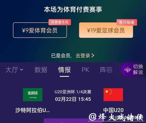 全面解析世界杯比赛直播渠道与观看方式